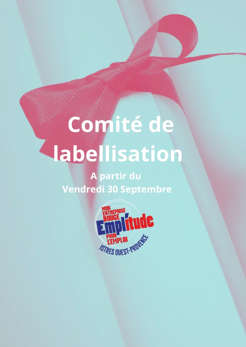 Comité de labellisation Emplitude